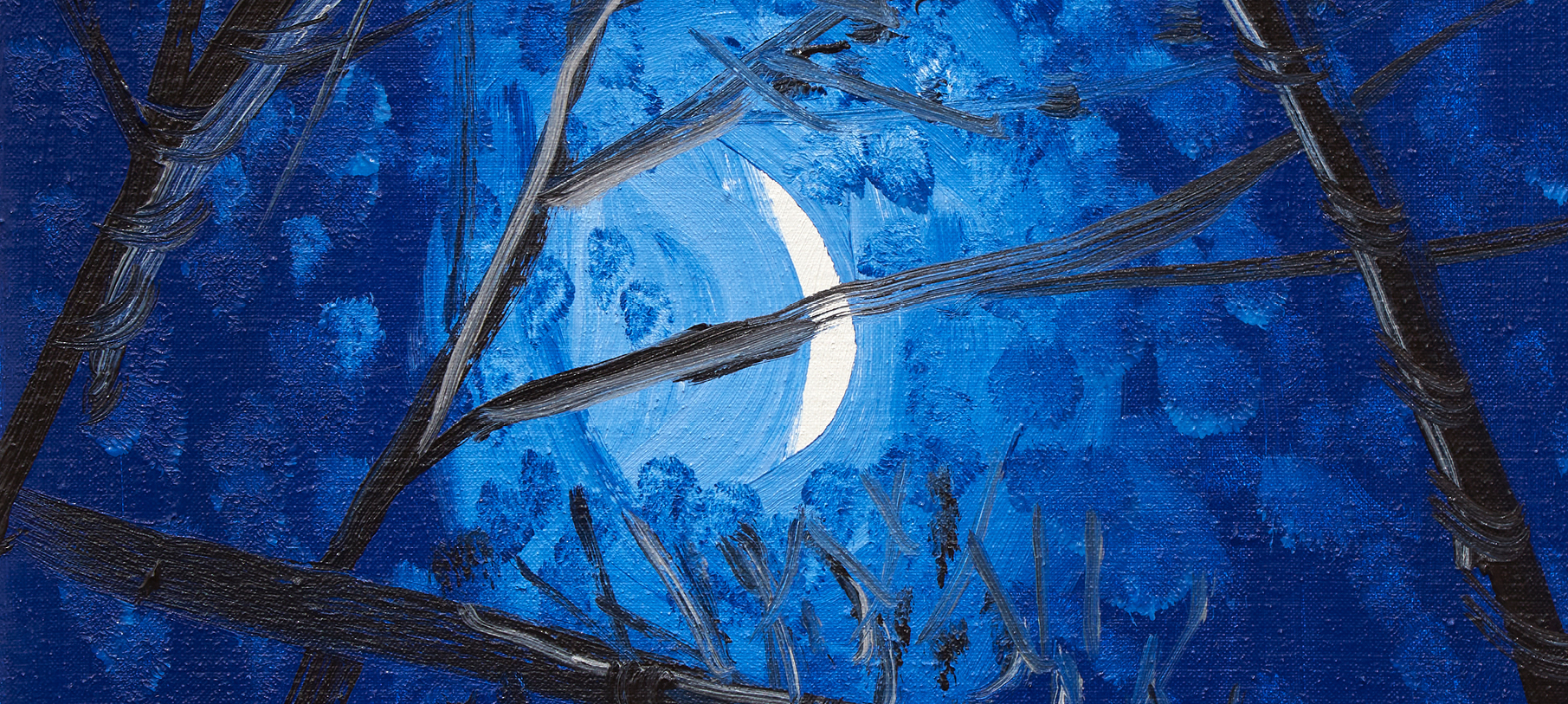 Sliver moon in clouds behind tree branches